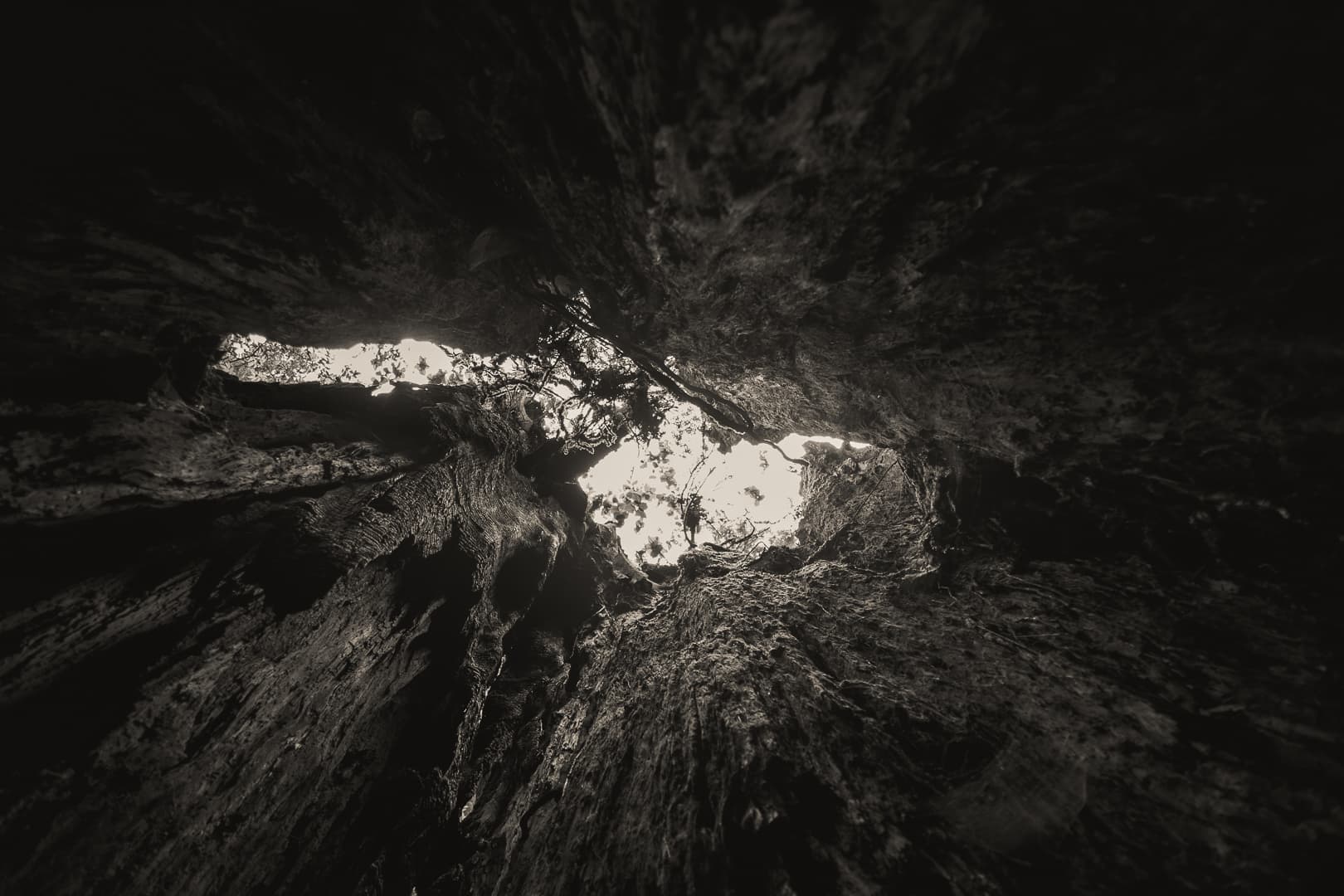 Photography by Mahdi Afshari - fav 16