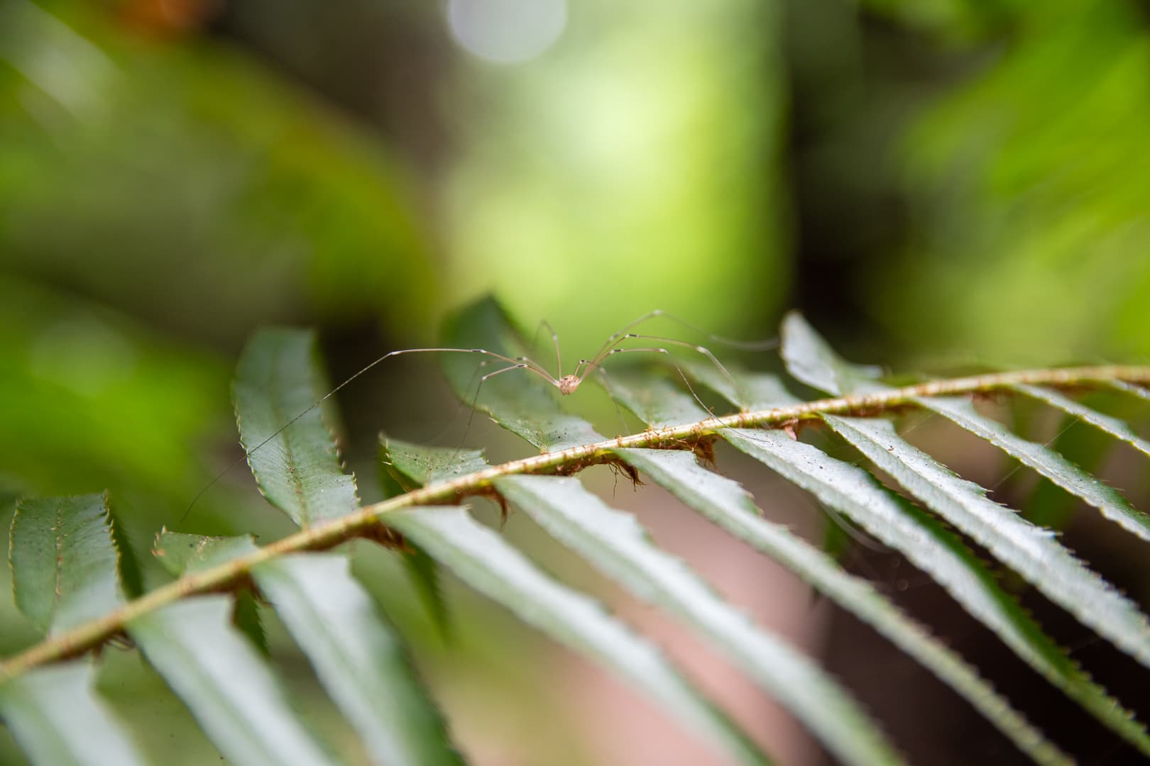 Photography by Mahdi Afshari - fav 17