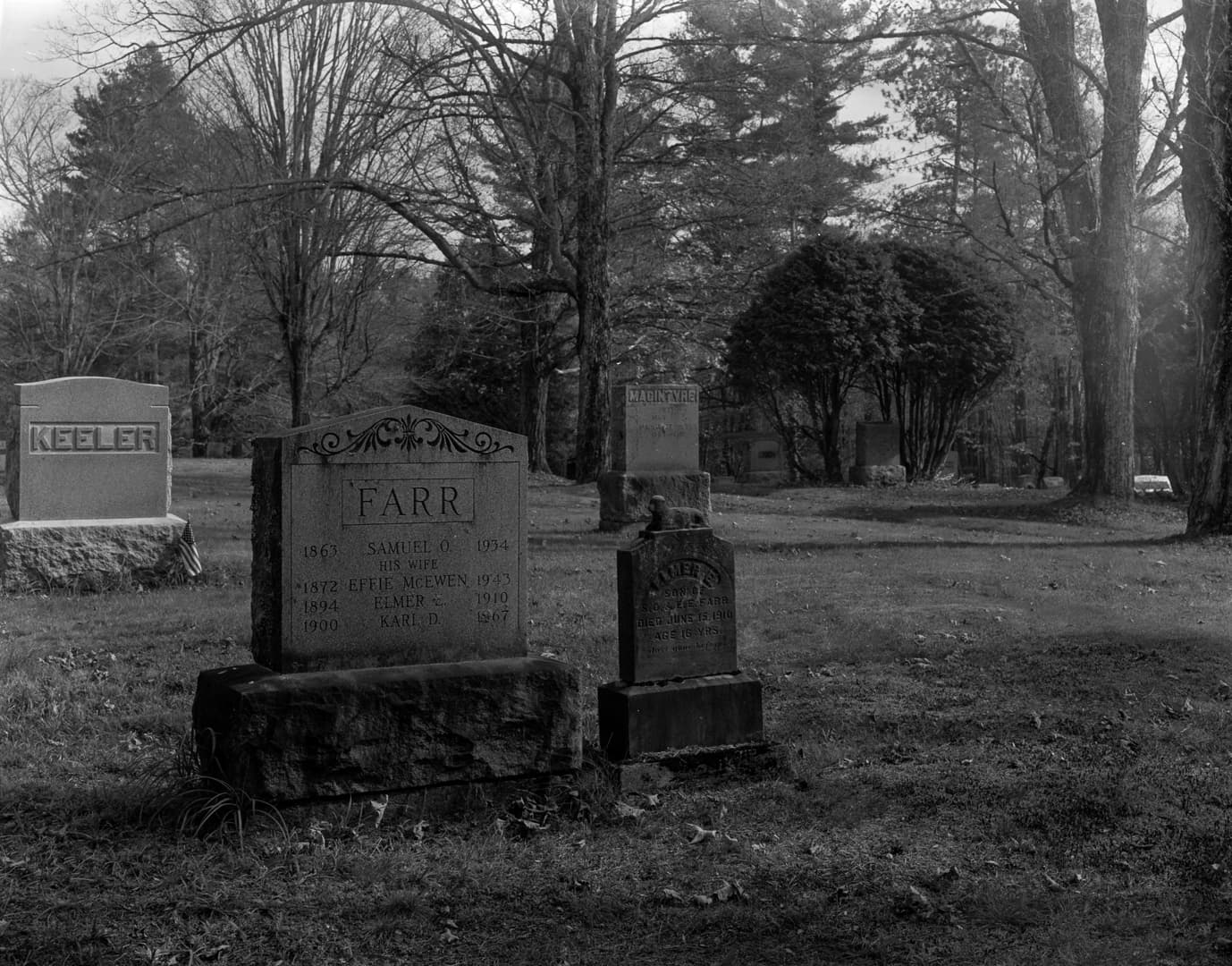 Photography by Mahdi Afshari - fav 19