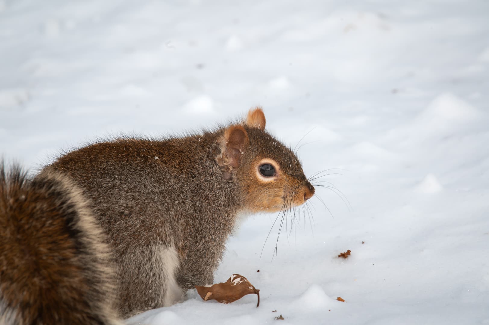 Photography by Mahdi Afshari - fav 28