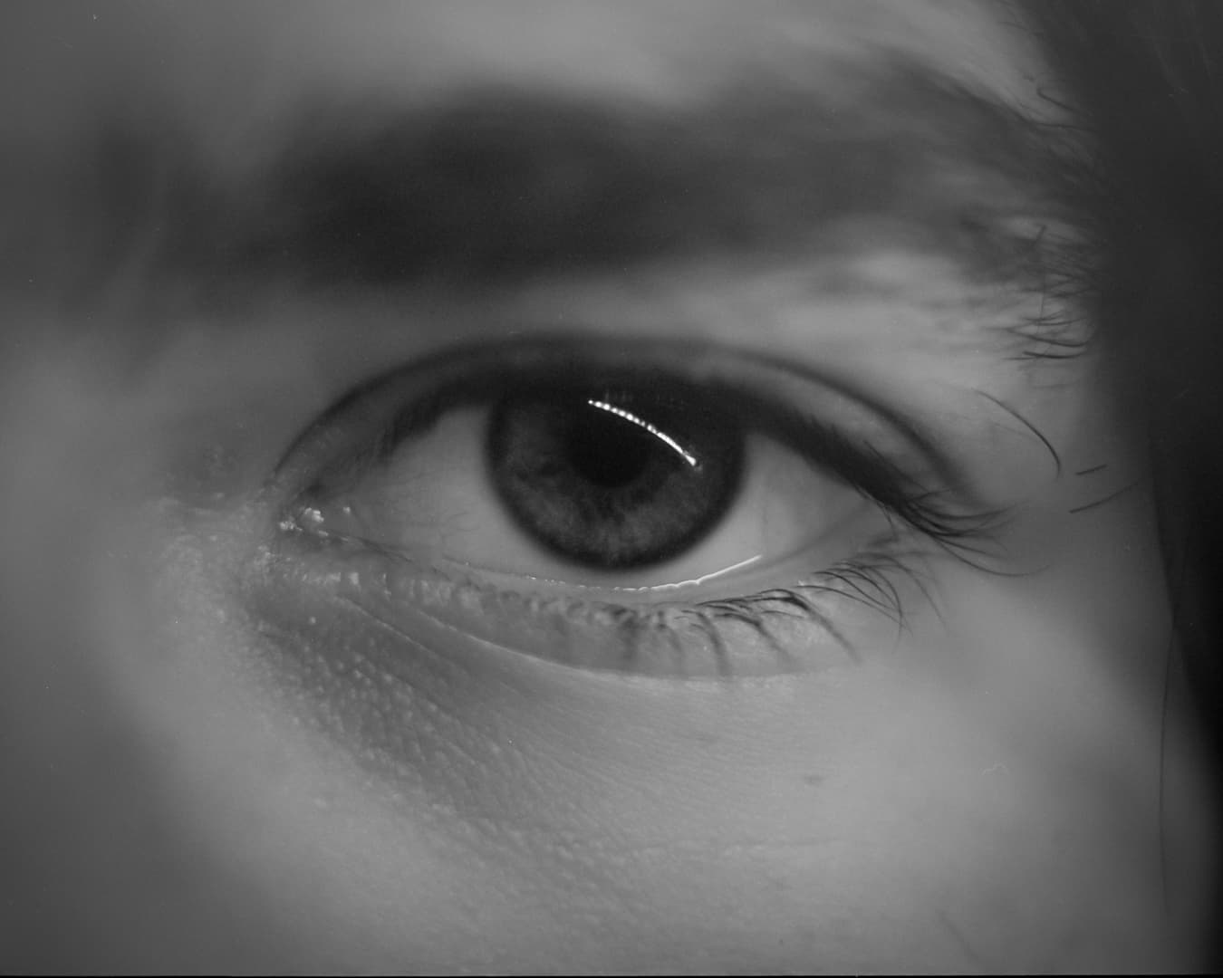 Photography by Mahdi Afshari - fav 34