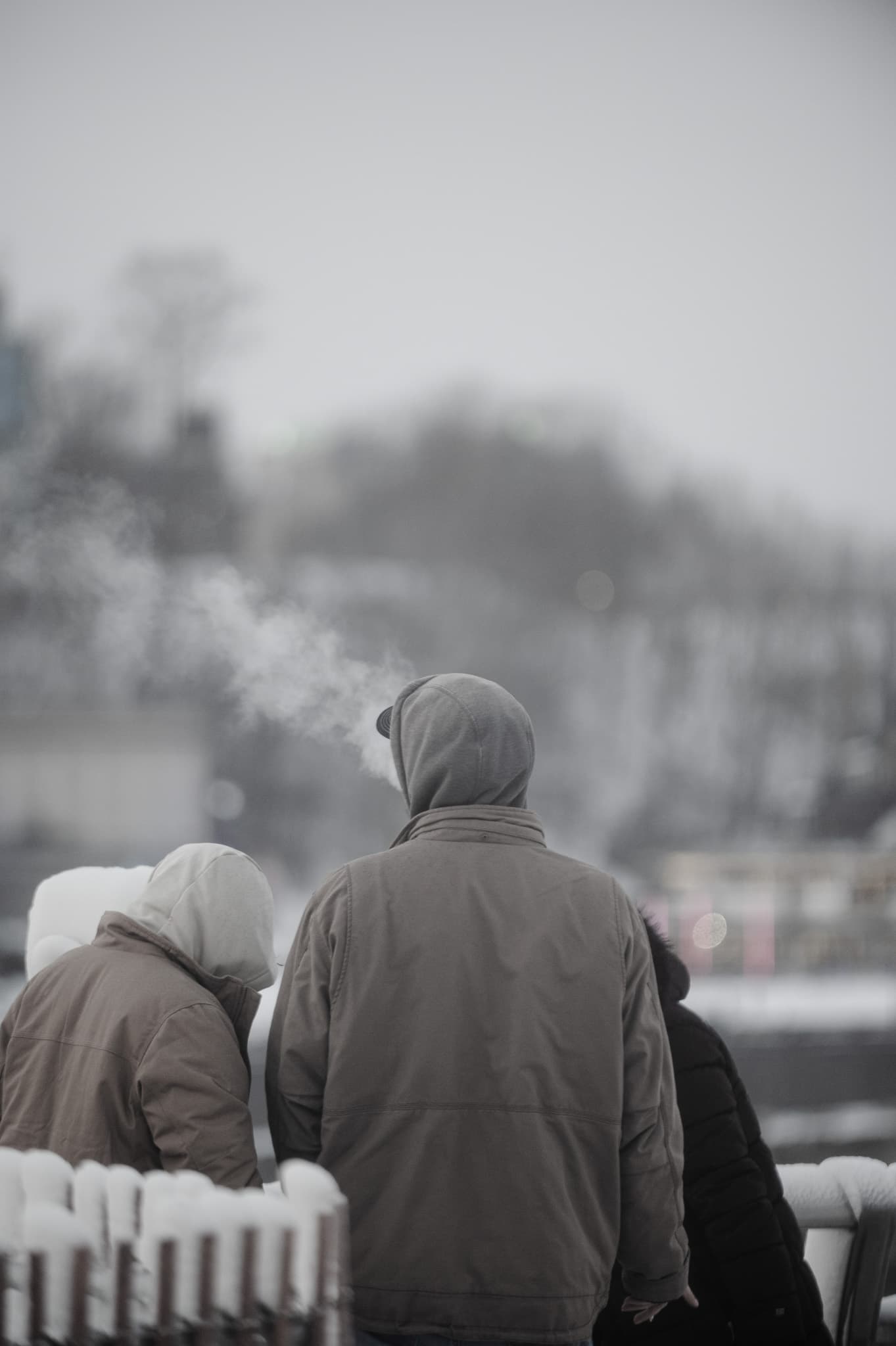 Photography by Mahdi Afshari - favorites 12