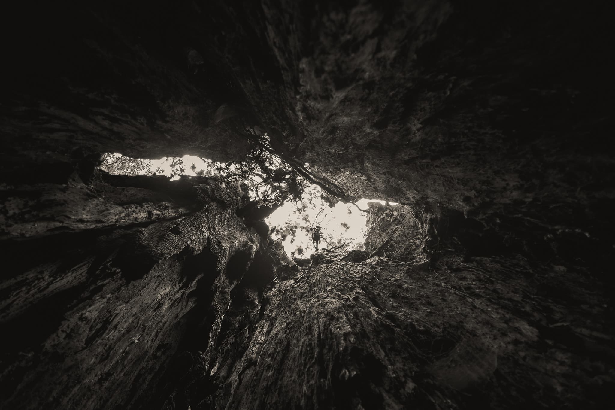 Photography by Mahdi Afshari - favorites 45