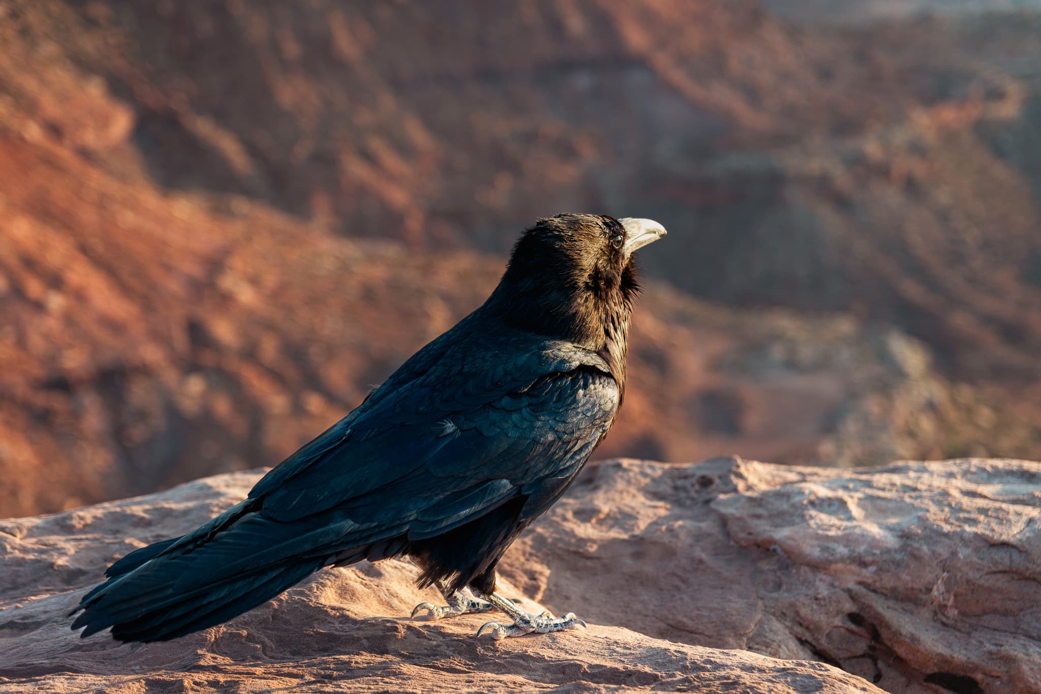 Photography by Mahdi Afshari - favorites 46