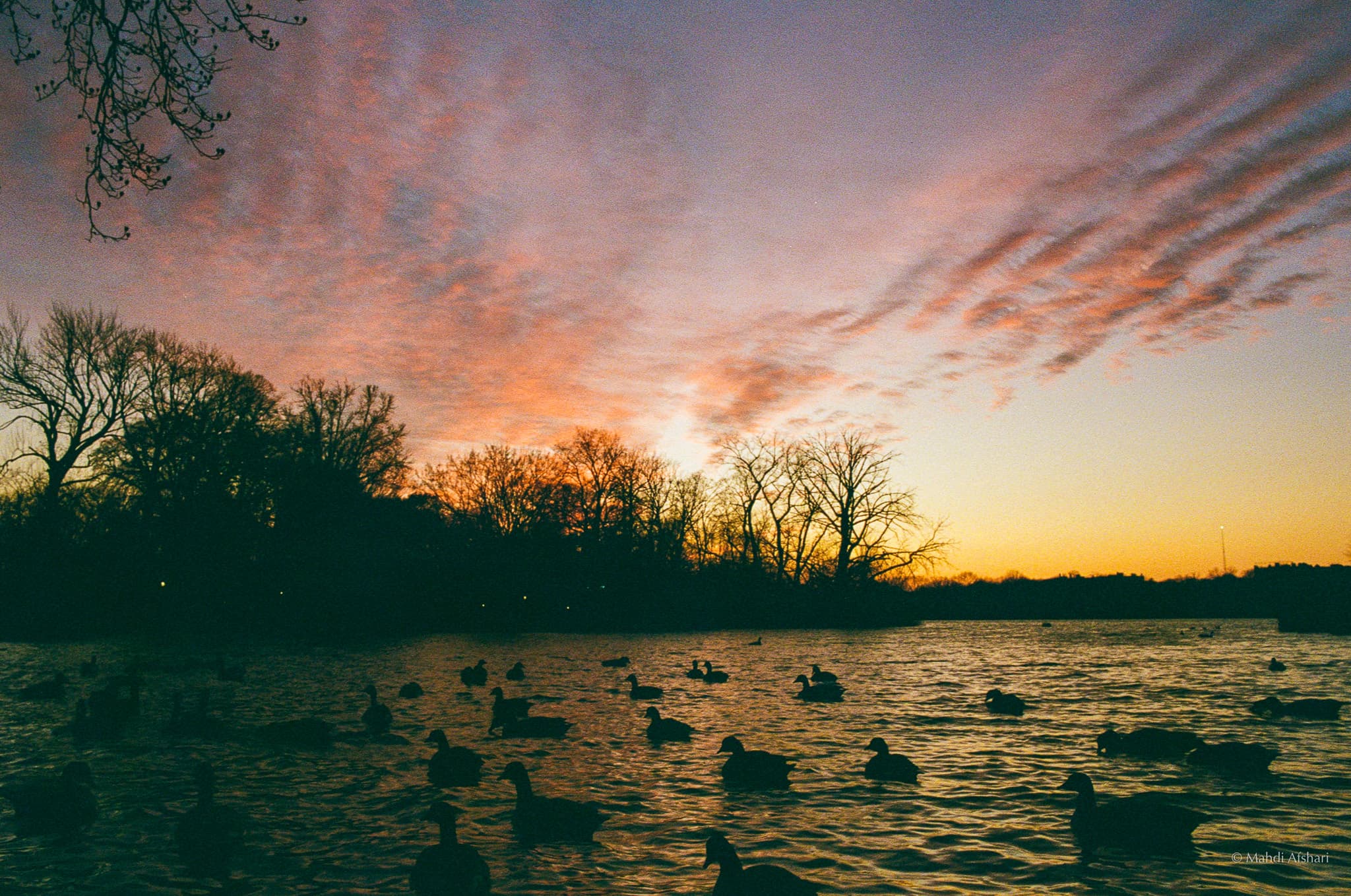 Photography by Mahdi Afshari - favorites 50