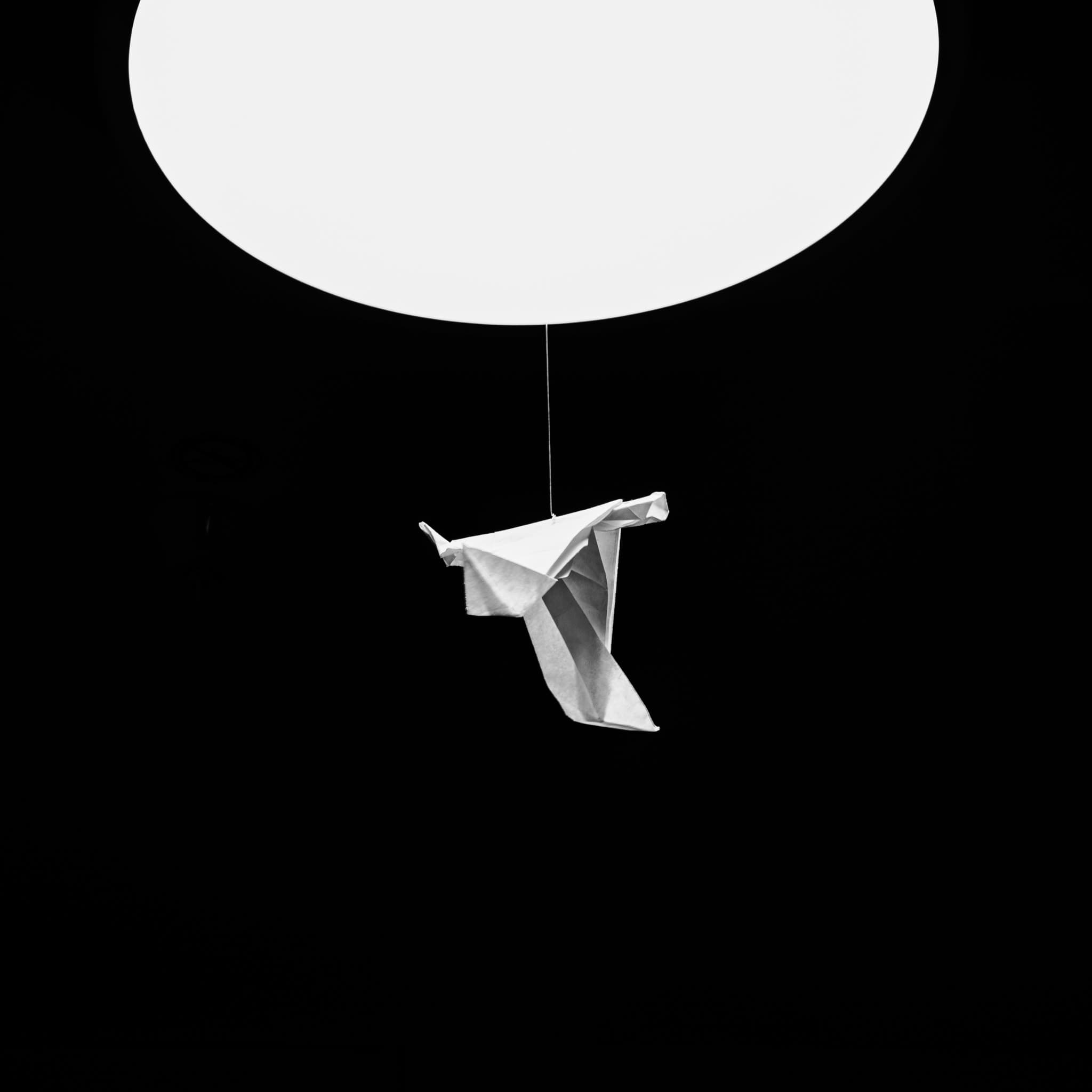 Photography by Mahdi Afshari - favorites 6
