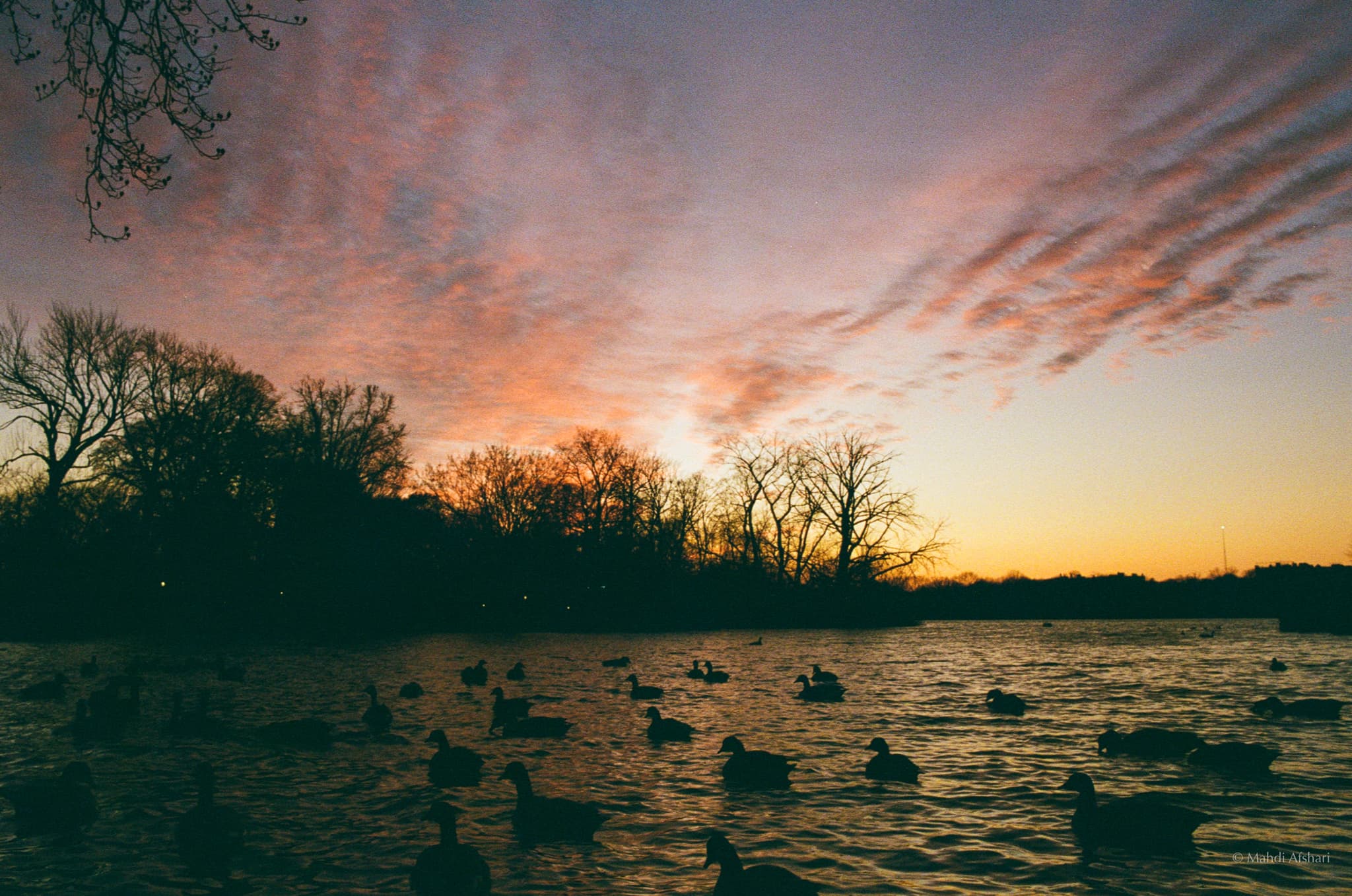 Photography by Mahdi Afshari - mahdi 3