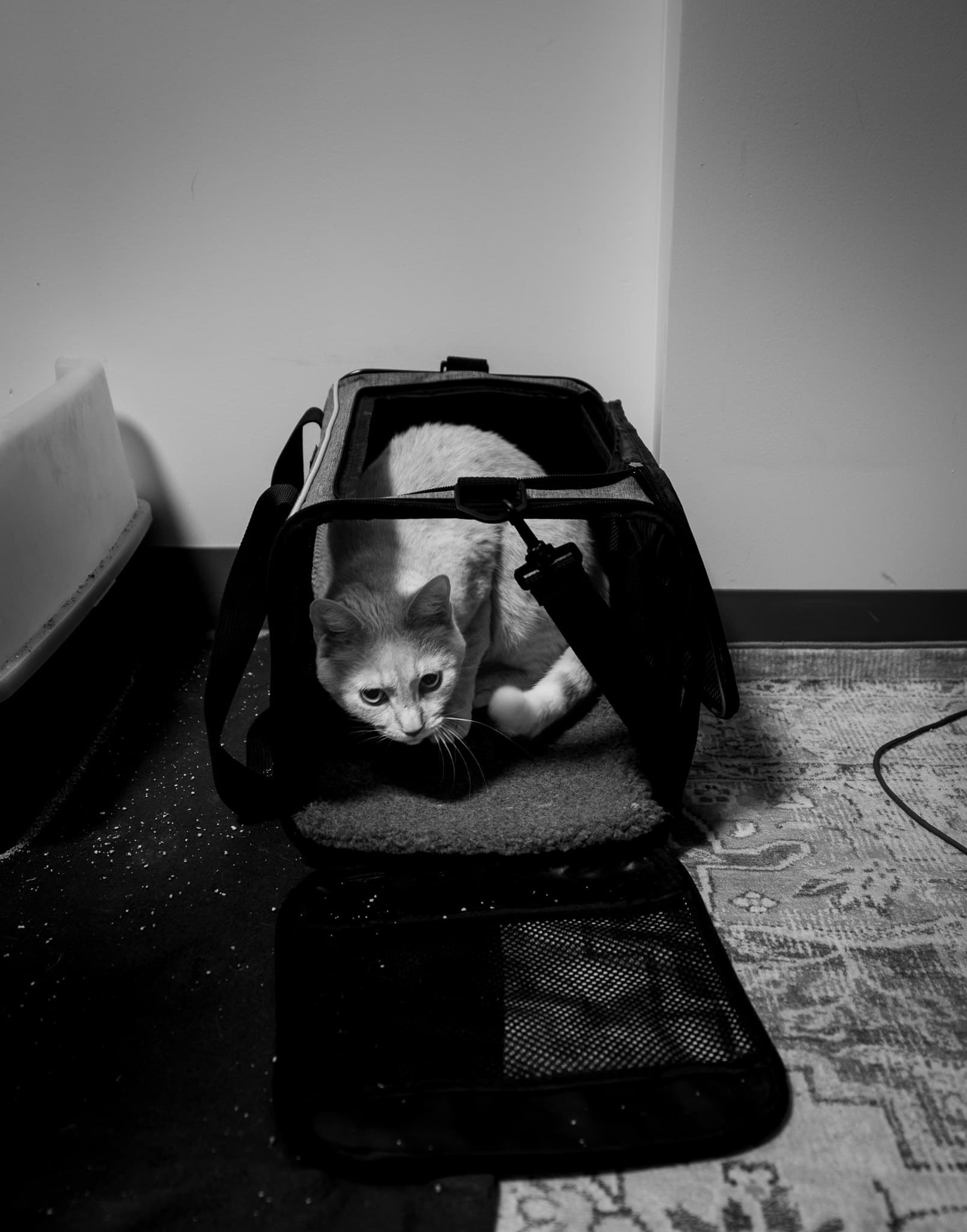 Photo from one, two, zero. 39